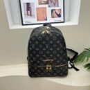 Gucci and Louis Vuitton Small Backpacks Bags - 6