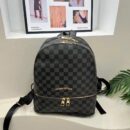 Gucci and Louis Vuitton Small Backpacks Bags - 4